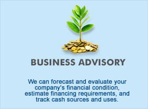 Business Advisory